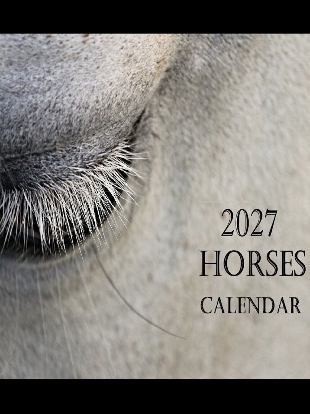 The Art of Horses Equine Portraits 2027 Horse Wall Calendar Equestrian Art Gift